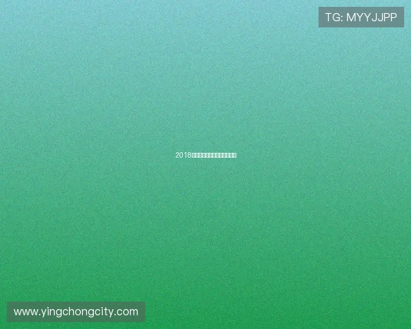 2018赛季德甲全部参赛球队的回顾